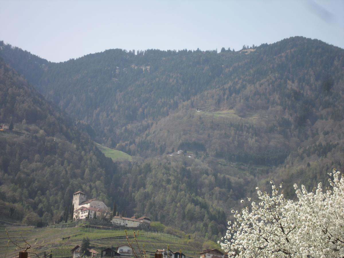 Junior Suite con Terrazza